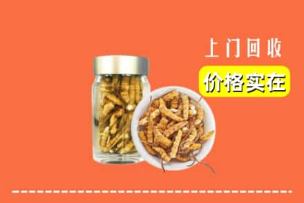 诚信求购:五大连池市高价回收散虫草