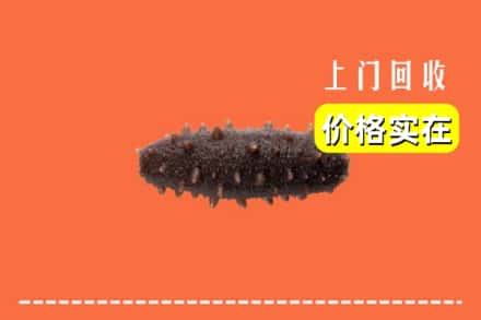 诚信求购:五大连池市高价回收海参